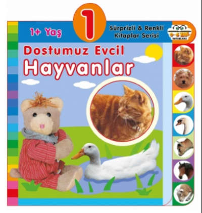 1+ Yaş – Dostumuz Evcil Hayvanlar