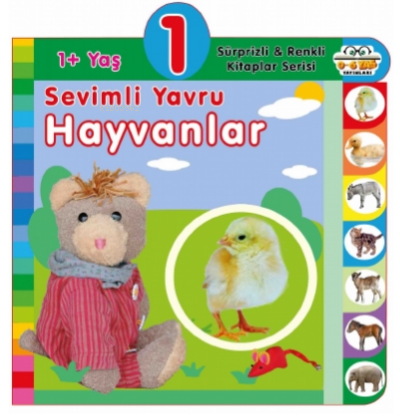 1+ Yaş Sevimli Yavru Hayvanlar