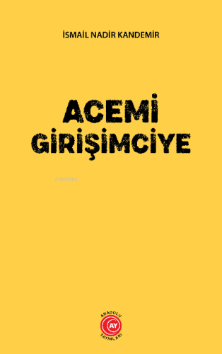 Acemi Girişimciye