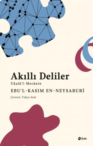 Akıllı Deliler Kitabı