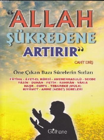 Allah Şükredene Artırır; Öne Çıkan Bazı Surelerin Sırları