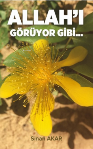 Allah'ı Görüyor Gibi