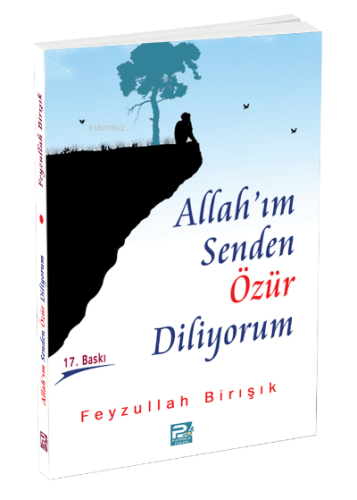 Allah'ım Senden Özür Diliyorum