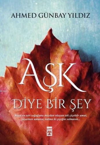 Aşk Diye Bir Şey