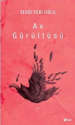 Av Gürültüsü