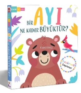 Bir Ayı Ne Kadar Büyüktür?