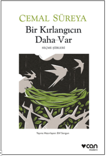 Bir Kırlangıcın Daha Var