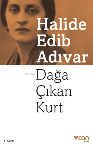 Dağa Çıkan Kurt