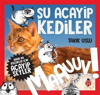 Daha da Küçükler İçin Acayip Şeyler Şu Acayip Kediler