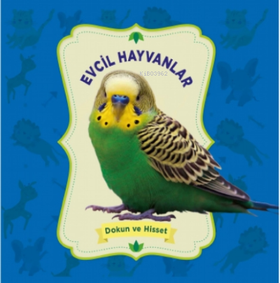 Evcil Hayvanlar – Dokun Ve Hisset