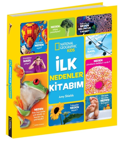 İlk Nedenler Kitabım