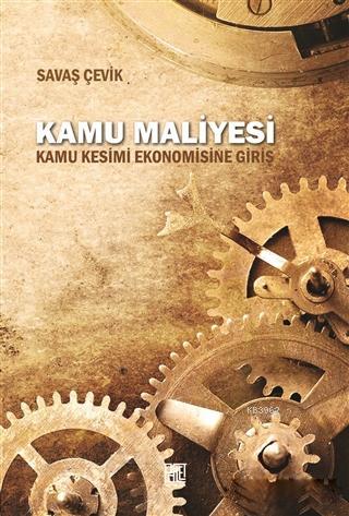 Kamu Maliyesi; Kamu Kesimi Ekonomisine Giriş