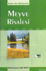 Meyve Risalesi (orta Boy)